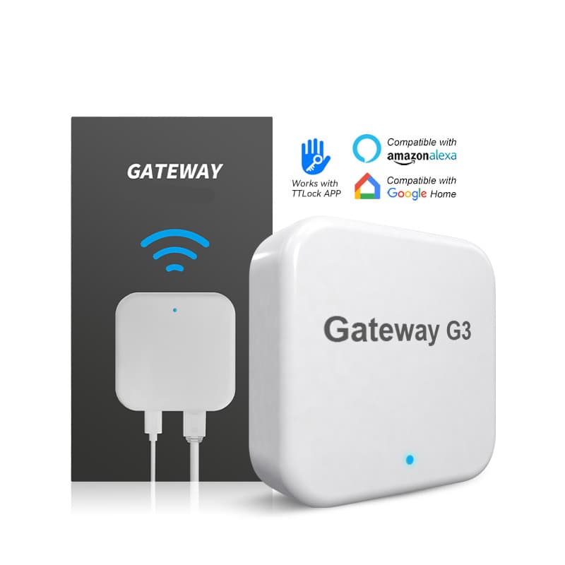 Gateway G3 wired (device for remote control)