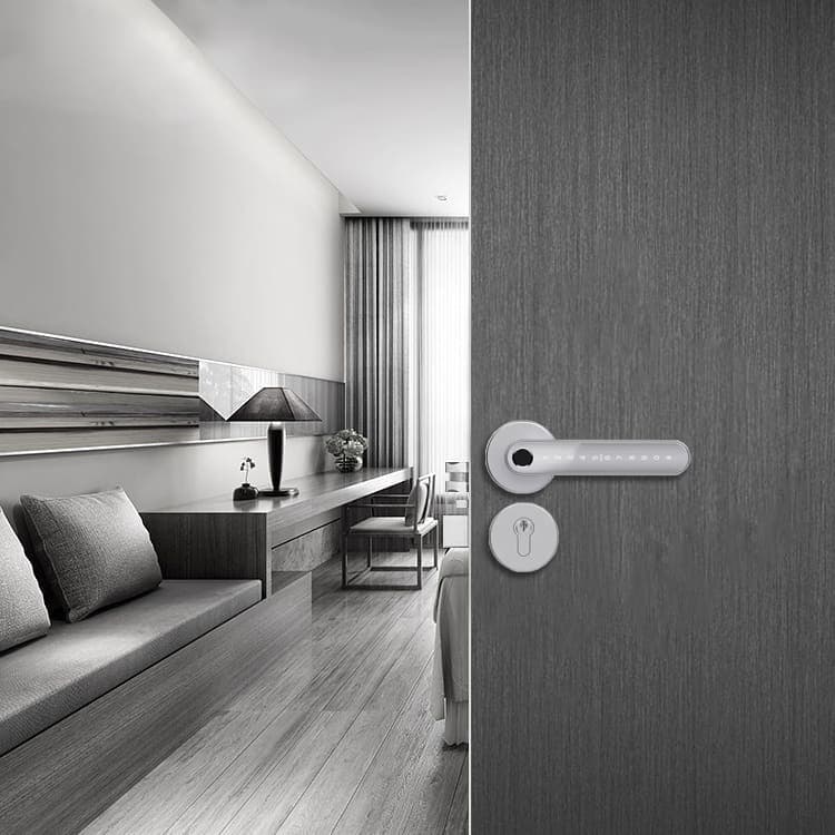 SYDNEY SILVER smart lock with fingerprint, Bluetooth, WiFi, PIN code, RFID card, key 2
