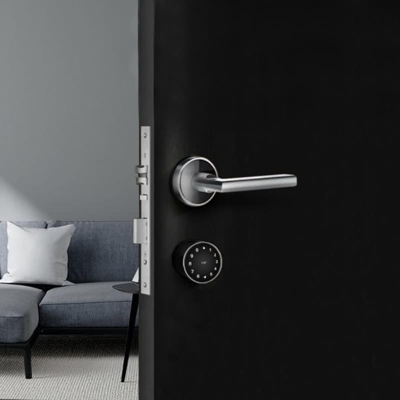 Florida Black smart lock 2